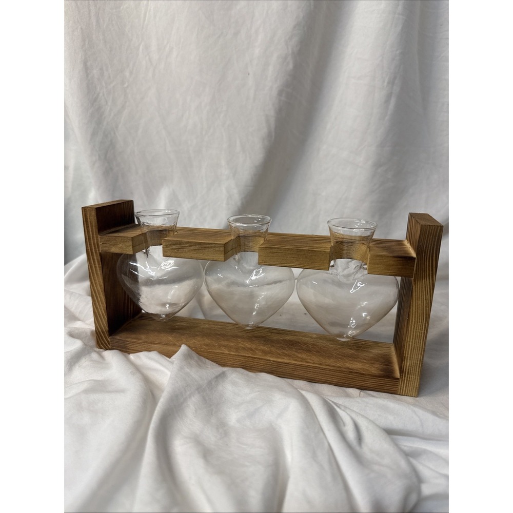 Plant Propagation Station Heart Bulb Bud Air Plant Vases Glass Jar Wooden Stand